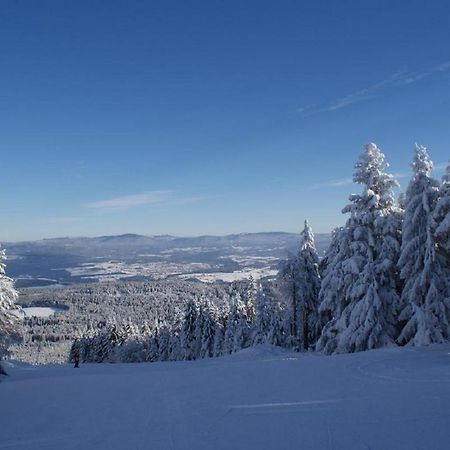 Gasthof Alte Post Bischofsmais Luaran gambar