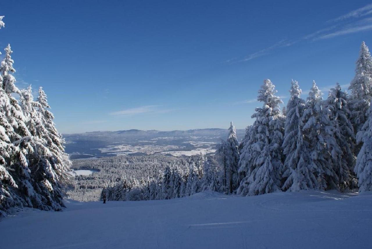 Gasthof Alte Post Bischofsmais Luaran gambar